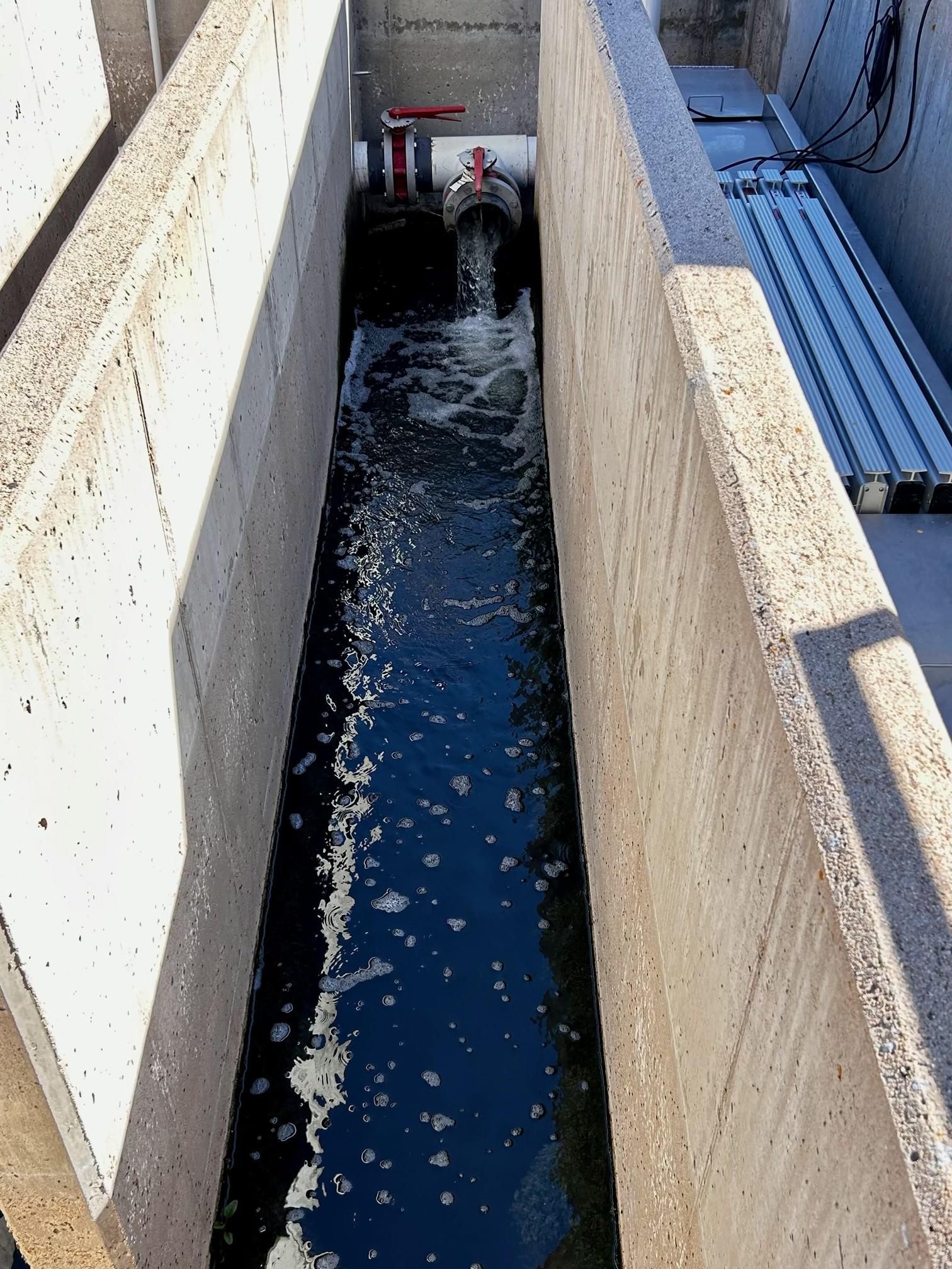 Water Plant in the Perry Park District