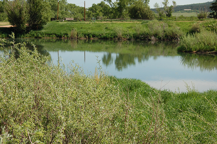 Lake near the Perry Park District